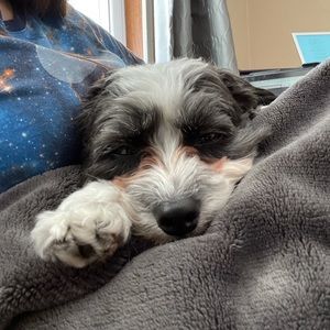 Meet your Posher, Hannah